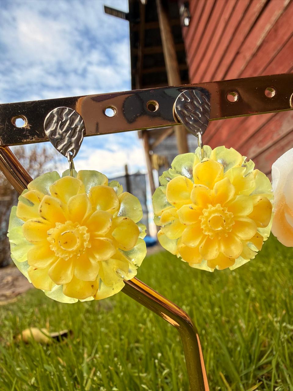Aros ranunculus